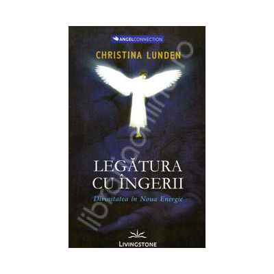 Legatura cu ingerii. Divinitatea in Noua Energie