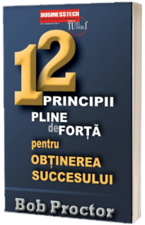 12 Principii pline de forta pentru obtinerea succesului