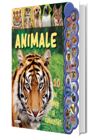 20 de sunete si curiozitati - Animale