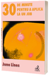 30 de minute pentru a aplica la un job