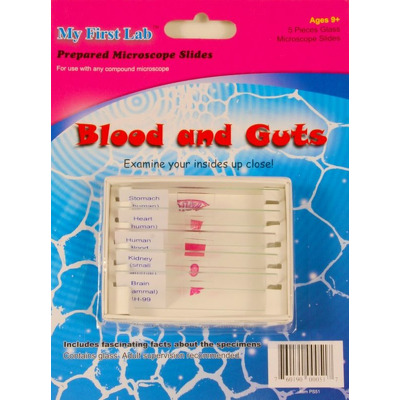 5 Lame cu preparate pentru microscop. Blood and Guts