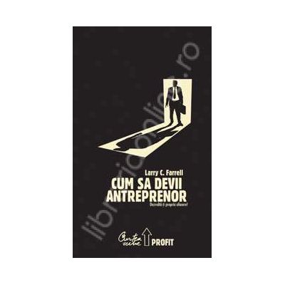 Cum sa devii antreprenor