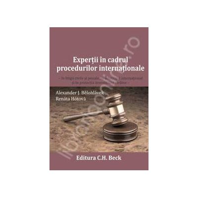 Expertii in cadrul procedurilor internationale - in litigii civile si penale, in arbitrajul international si in protectia investitiilor straine