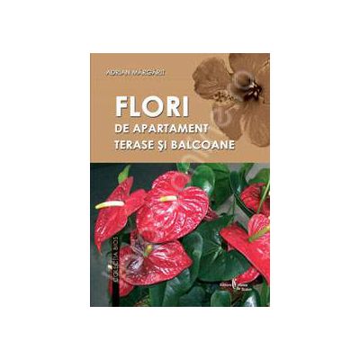 Flori de apartament, terase si balcoane