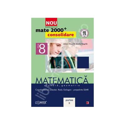 Mate 2000 pentru clasa a VIII-a. Partea a II-a, CONSOLIDARE. Matematica, algebra, geometrie