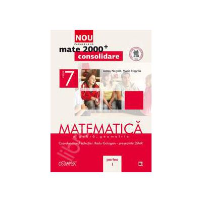 Mate 2000 pentru clasa a VII-a. Partea I, CONSOLIDARE. Matematica - Algebra, geometrie