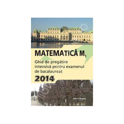 Matematica M1, BACALAUREAT 2014. Ghid de pregatire intensiva