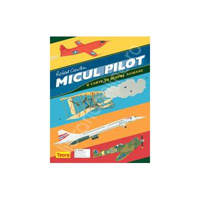 Micul pilot