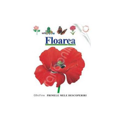 Primele mele descoperiri. Floarea