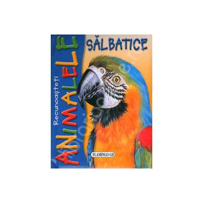 Recunoasteti. Animalele. Salbatice - Papagalul