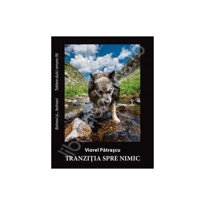 Tranzitia spre nimic