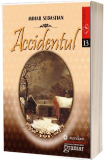 Accidentul