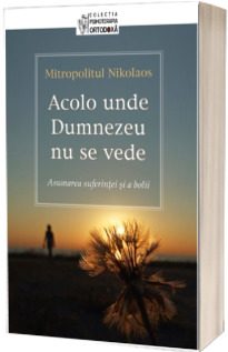 Acolo unde Dumnezeu nu se vede. Asumarea suferintei si a bolii