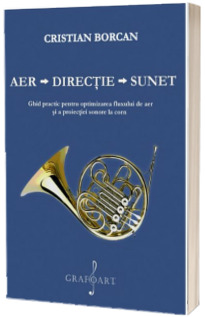 Aer - Directie - Sunet