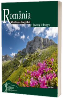 Album Romania