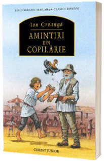 Amintiri din copilarie