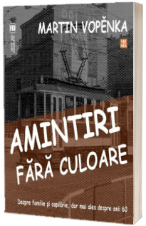 Amintiri fara culoare