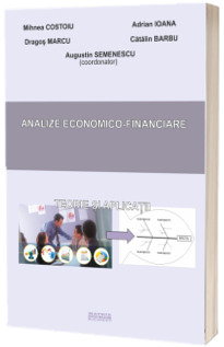Analize economico-financiare. Teorie si aplicatii