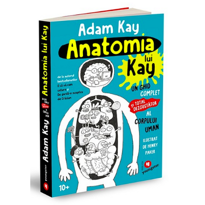 Anatomia lui Kay