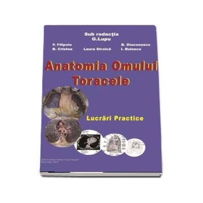 Anatomia omului. Toracele