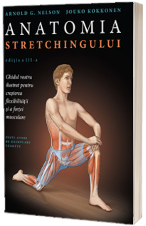 Anatomia stretchingului