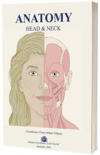 Anatomy Head&Neck