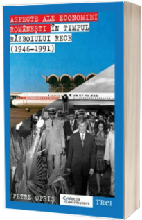 Aspecte ale economiei romanesti in timpul Razboiului Rece (1946-1991)