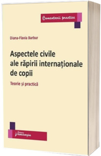 Aspectele civile ale rapirii internationale de copii