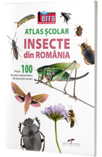 Atlas scolar - insecte din Romania