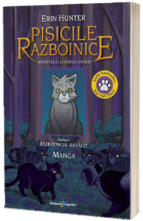 Aventurile lui Dunga Cenusie. Razboinicul ratacit