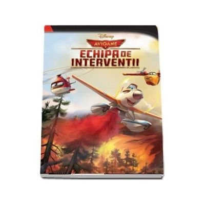 Avioane. Echipa de interventii