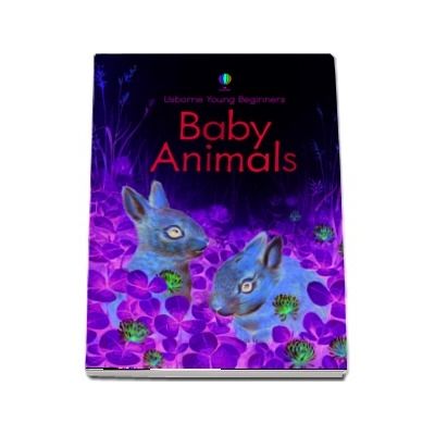 Animals Under The Ground: Bone, Emily: 9781474979344: : Books