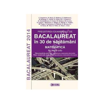 Bacalaureat 2014. Matematica - Filiera teoretica, profil real, specializarea matematica-informatica, filiera vocationala, profil militar, specializarea matematica-informatica