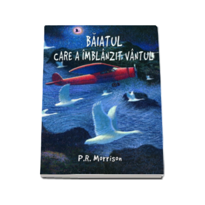 Baiatul care a imblanzit vantul - P.R. Morrison