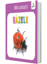 Bebe cunoaste gazele