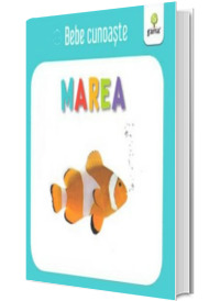 Bebe cunoaste marea