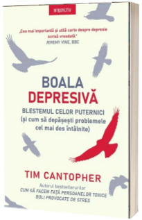 Boala depresiva. Blestemul celor puternici