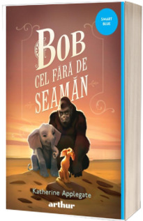Bob cel fara de seaman