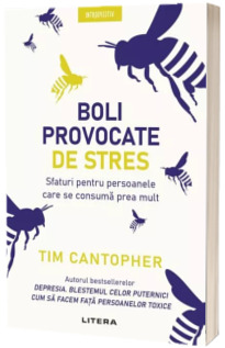 Boli provocate de stres