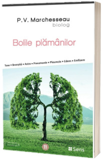 Bolile plamanilor