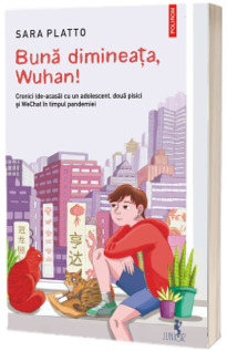 Buna dimineata, Wuhan! Cronici (de-acasa) cu un adolescent, doua pisici si WeChat in timpul pandemiei