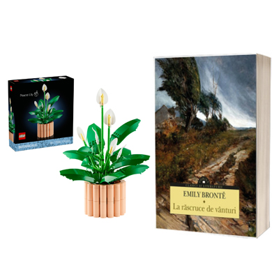 Bundle 8 Martie - Iubire intensa si echilibru care infloreste