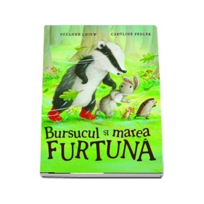Bursucul si marea furtuna