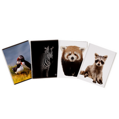 Caiet A5, 48 file, 80gsm, coperta carton 300gsm, design animals - dictando