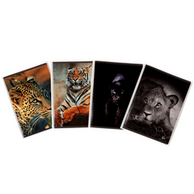 Caiet A5, 48 file, 80gsm, coperta carton 300gsm, design animals - matematica