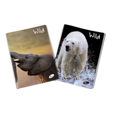 Caiet A5, 48 file, 80gsm, coperta carton 300gsm, design wild - matematica