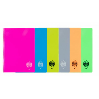 Caiet A5 96 file coperta plastic spira Romana DACO