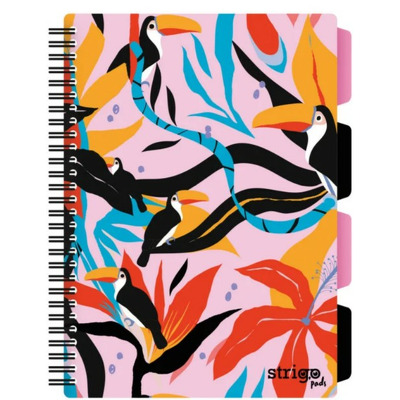 Caiet cu spirala si separatoare, STRIGO PADS Project Book Jungle B5, Matematica