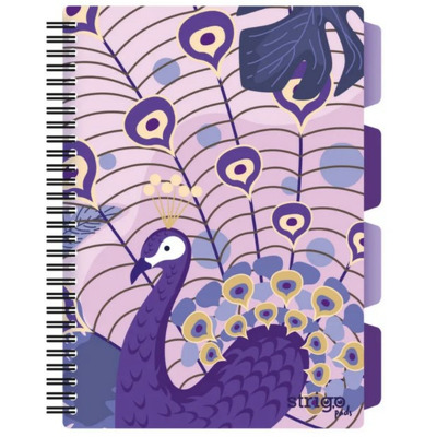 Caiet cu spirala si separatoare, STRIGO PADS Project Book Jungle B5, Matematica