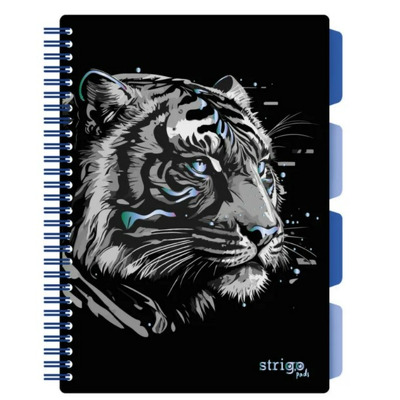 Caiet cu spirala si separatoare, STRIGO PADS Project Book TIGRU, B5, Matematica